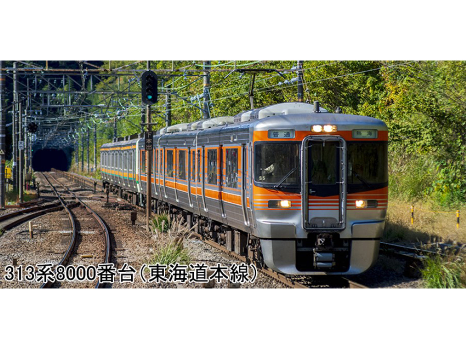 Kato (Japan) JR Series 313-8000 Tokaido Mainline 3 Car EMU Powered Set K10-1749