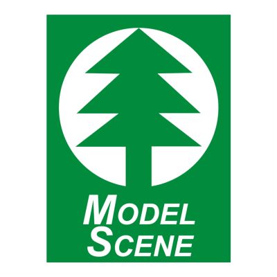 Model Scene Logo