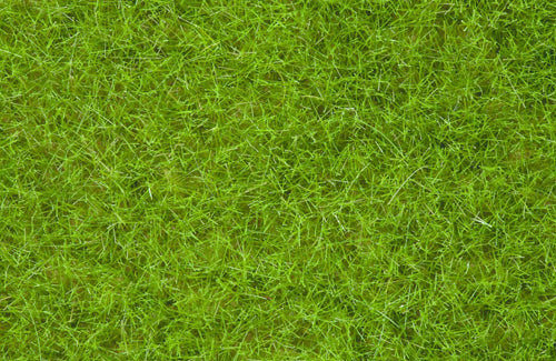 Noch Light Green Wild Grass 6mm (100g) N07092