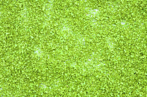 Noch Light Green Leaves (100g) N07152