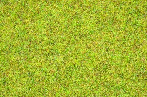 Noch Summer Meadow Scatter Grass 2.5mm (120g) N08151