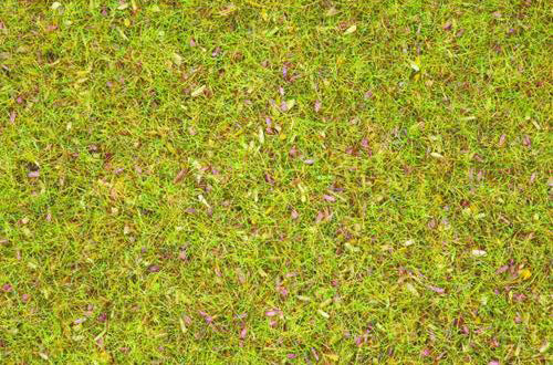 Noch Flowers Scatter Grass 2.5mm (120g) N08155