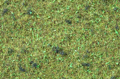 Noch Forest Floor Scatter Grass 2.5mm (120g) N08157