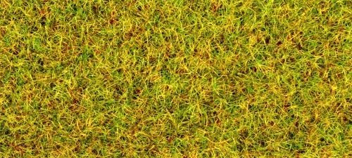 Noch Summer Meadow Scatter Grass 2.5mm (20g) N08310