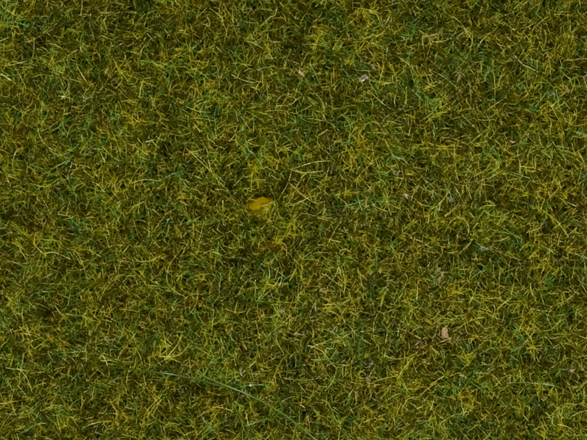 Noch Meadow Scatter Grass 4mm (20g) N08361