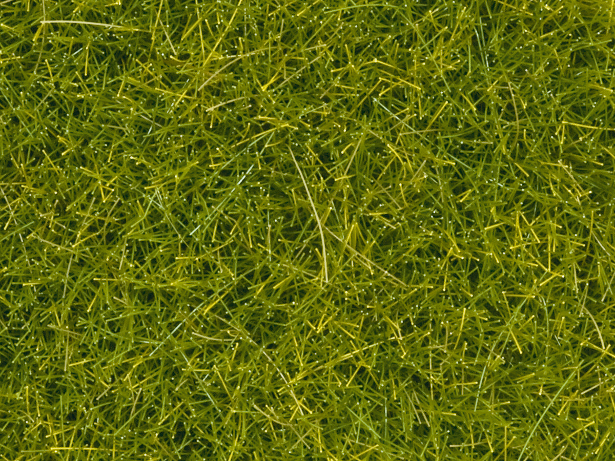Noch Light Green Scatter Grass 4mm (20g) N08363