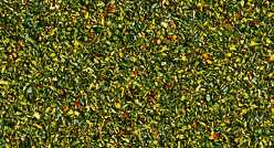Noch Flower Meadow Scatter Material (42g) N08400