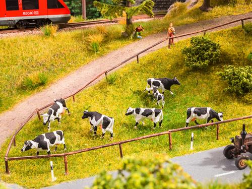 Noch Cows Mooing Sound Scene N12851