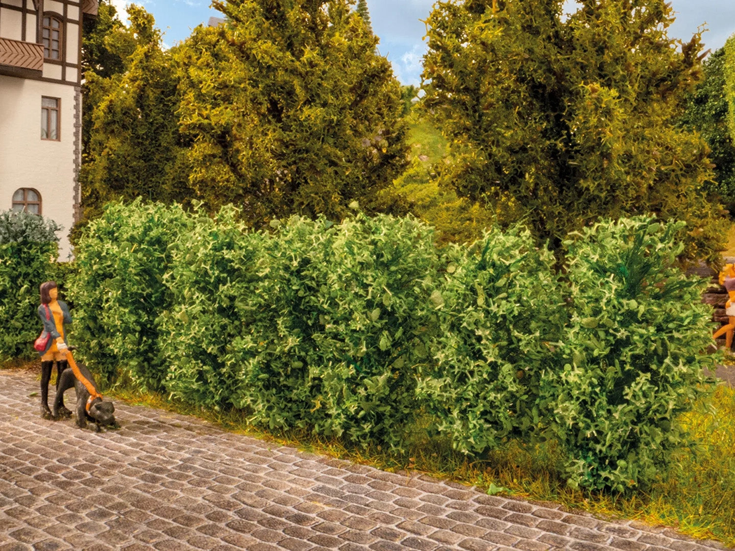 Noch Thuja Hedge 3cm (12) N21547