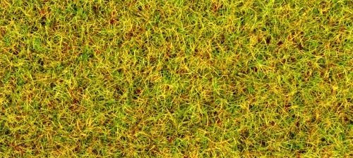 Noch Summer Meadow Scatter Grass 2.5mm (100g) N50190