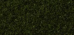 Noch Marshy Soil Scatter Grass 2.5mm (100g) N50200
