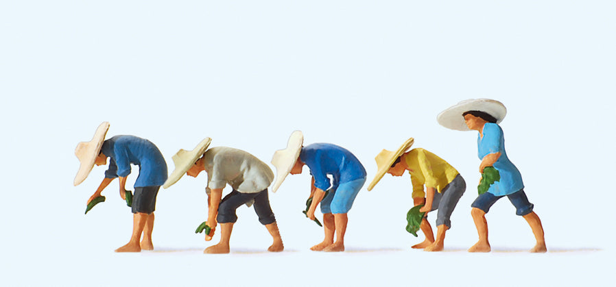 Preiser At the Rice Field (5) Exclusive Figure Set PR10572