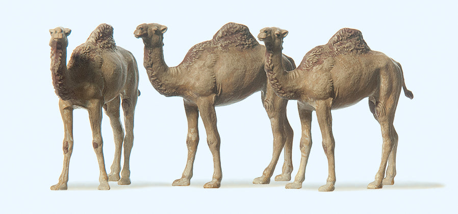 Preiser Circus Dromedaries (3) Figure Set PR20397