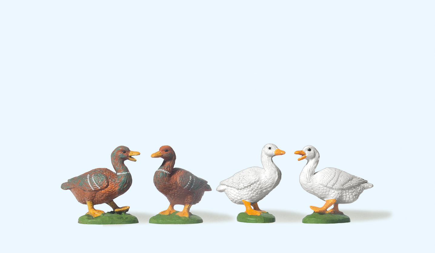 Preiser Ducks (4) Figure Set PR47077