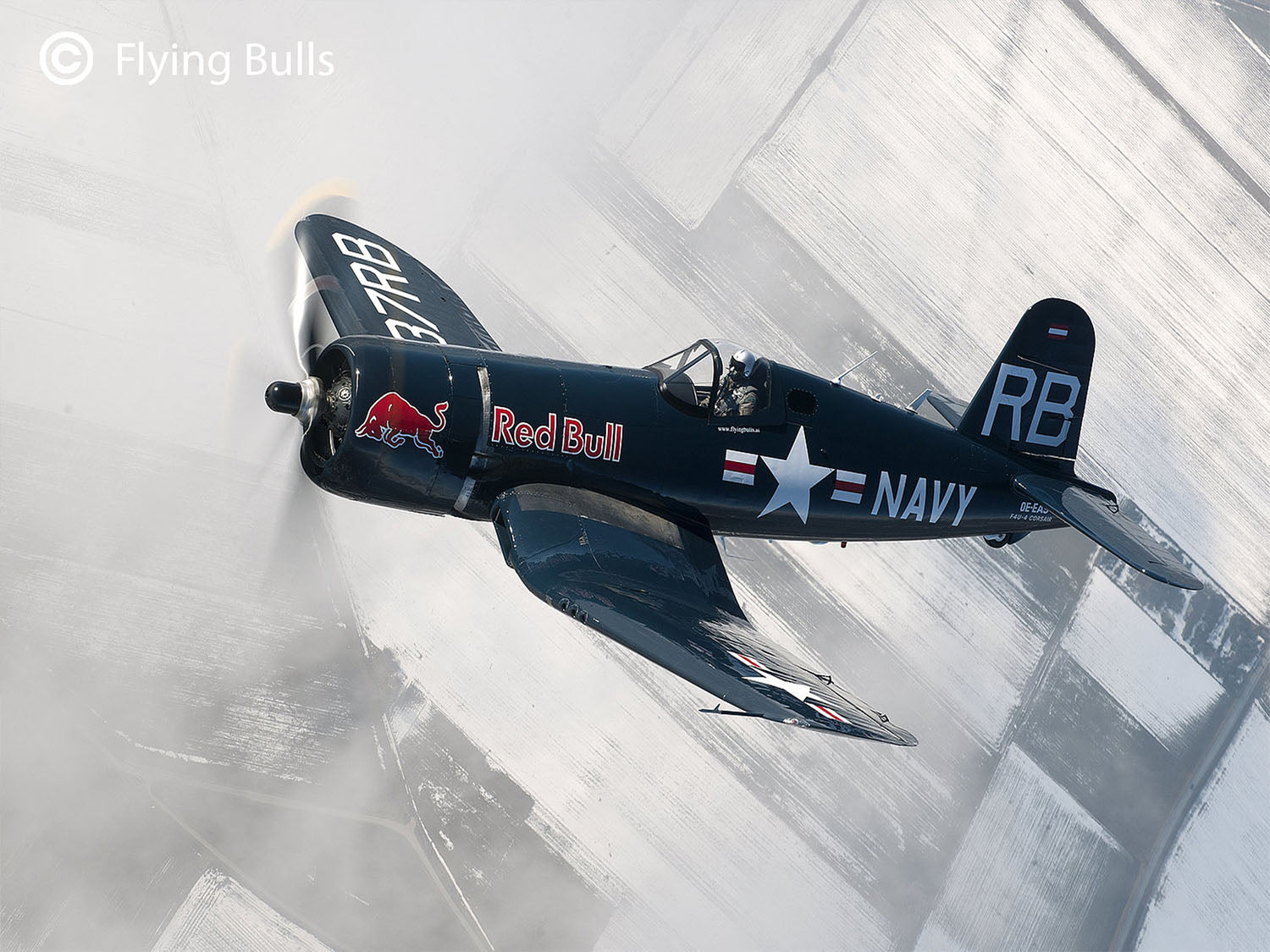 Revell Flying Bulls 25th F4U-4 Corsair Gift Set (1:48 Scale) RL05641