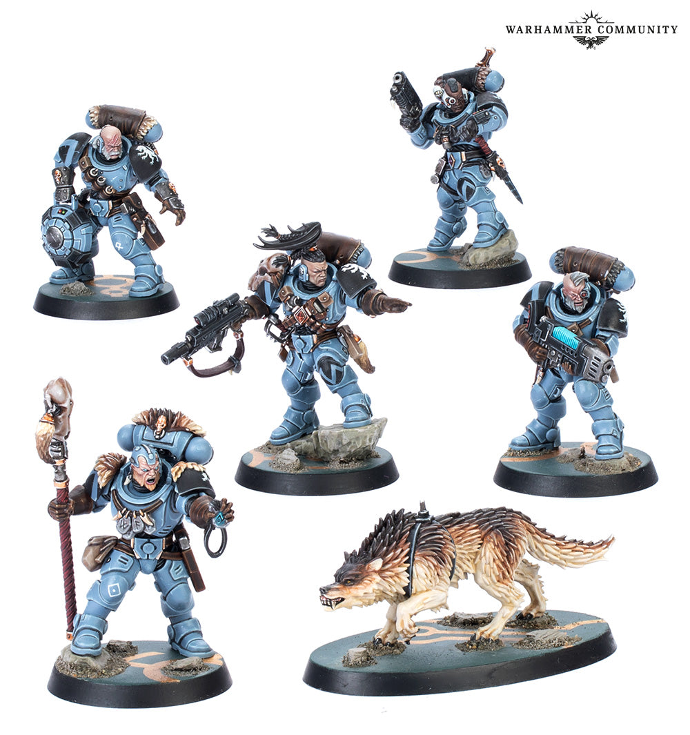 Five painted miniature figures of Space Wolves with a wolf on a white background, featuring the Warhammer Community logo.