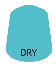 Citadel Dry Range Skink Blue