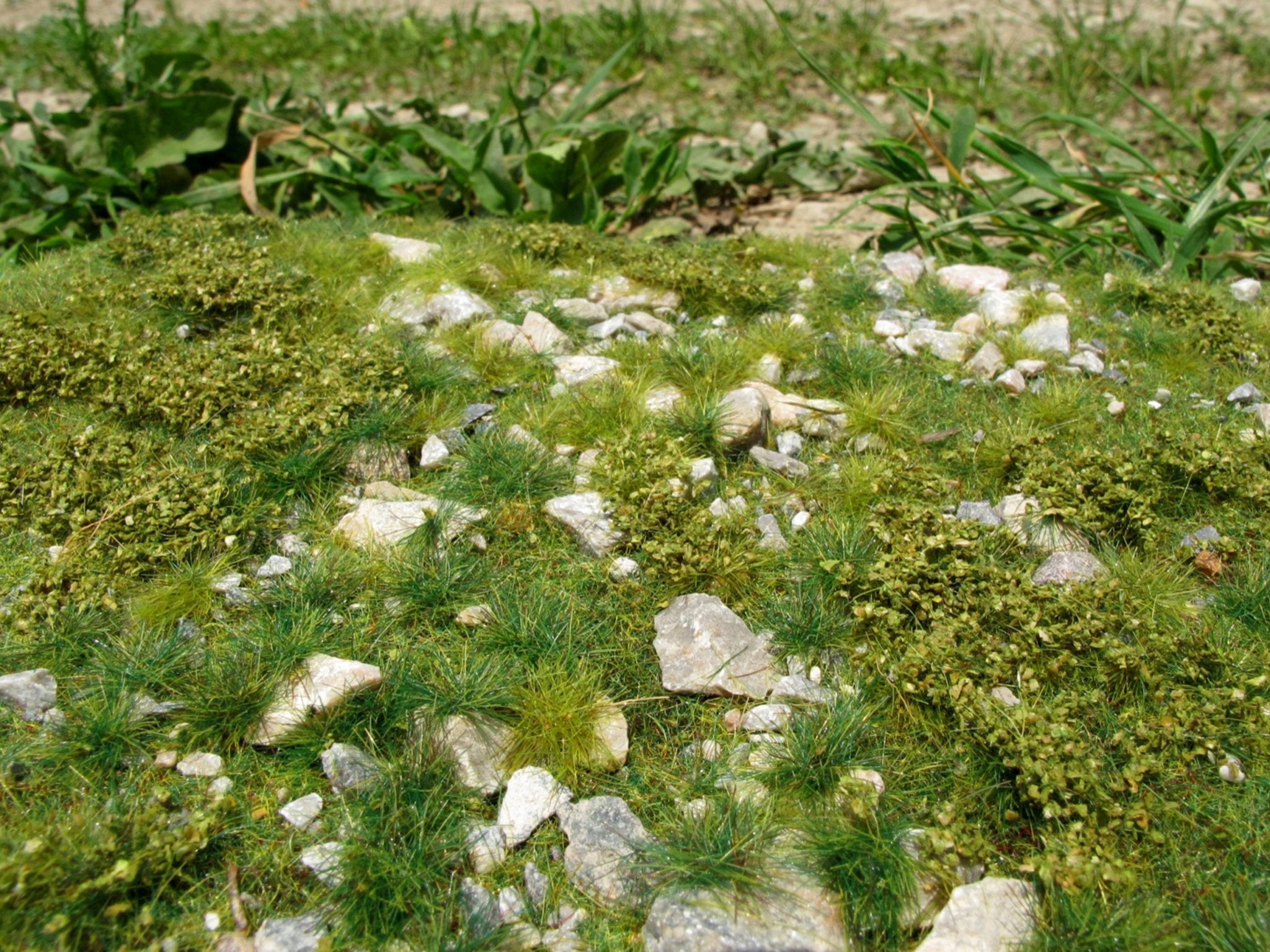 Model Scene Early summer, stonny (calc) F722 18x28cm - Access Models