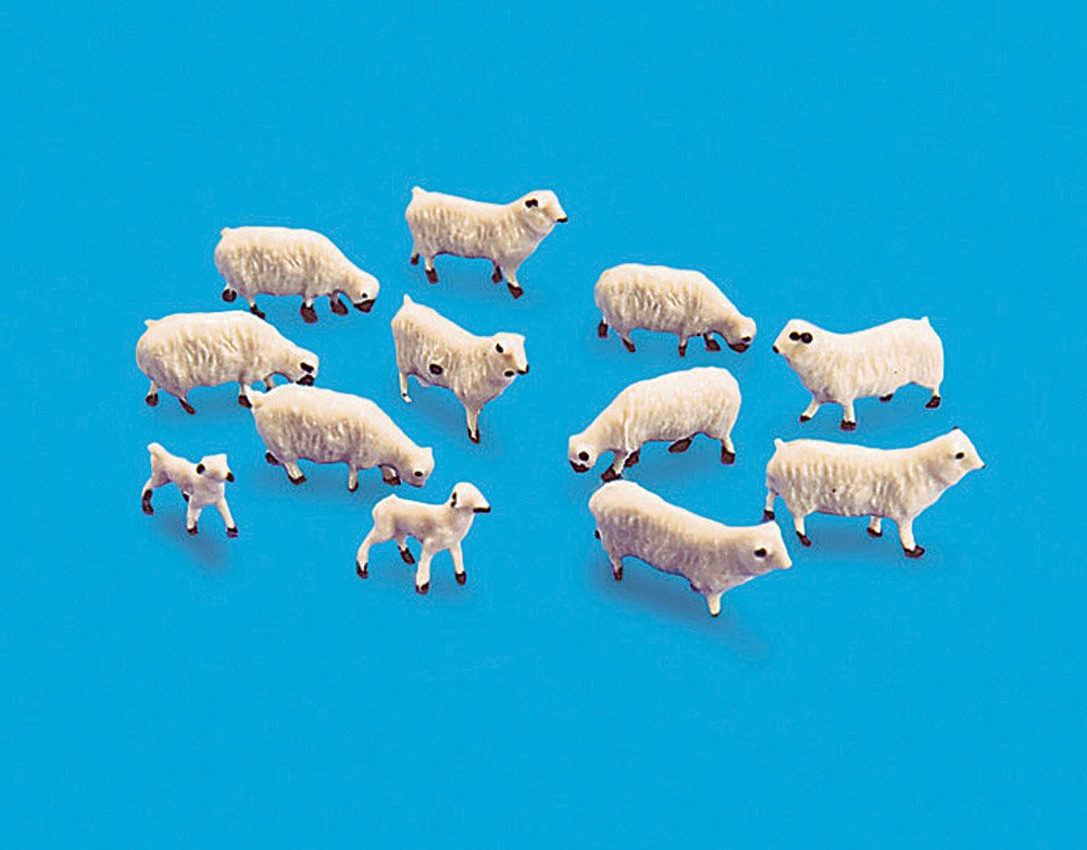 Sheep And Lambs 5110 - Access Models